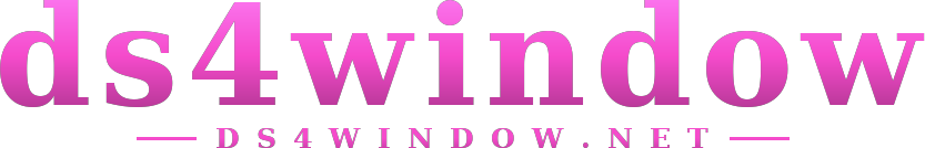 ds4window logo